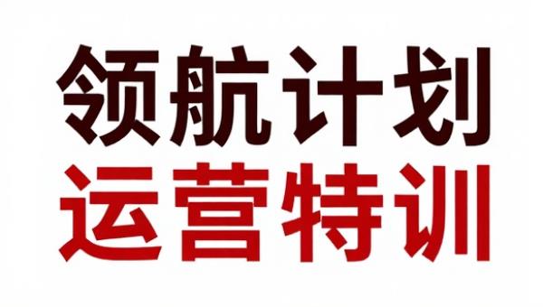 领航计划小红书虚拟产品运营特训实战教学课程