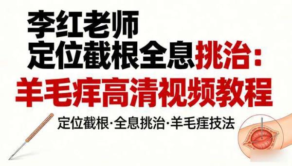 李红老师定位截根全息挑治：羊毛疔高清视频教程