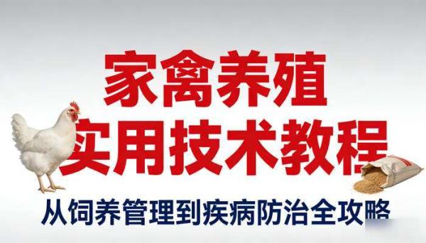 家禽养殖实用技术教程 从饲养管理到疾病防治全攻略