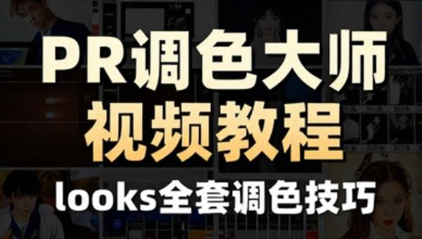 PR调色大师视频教程 looks全套调色技巧