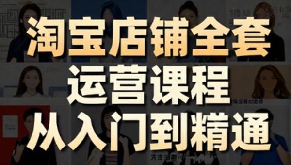 淘宝店铺全套运营课程 从入门到精通