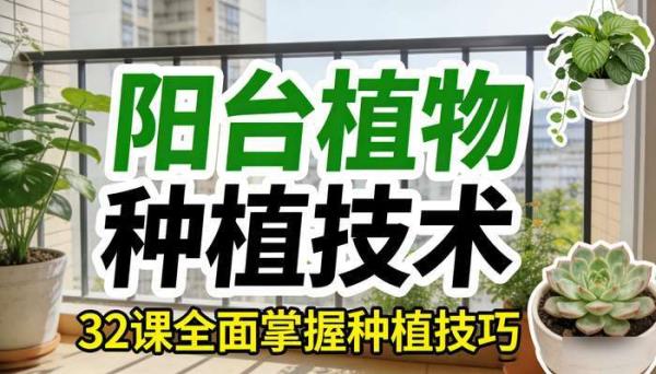 32 课常见阳台植物种植技术视频 全面掌握种植技巧