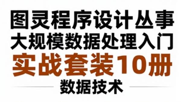 图灵程序设计丛书大规模数据处理入门实战套装10册：数据技术