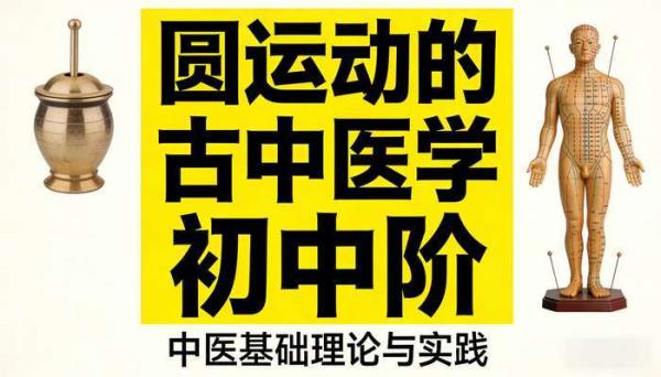 圆运动的古中医学初中阶：中医基础理论与实践