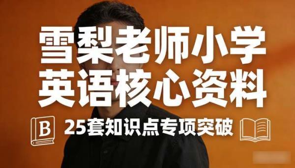雪梨老师 25 套小学英语学习资料 核心知识点专项突破