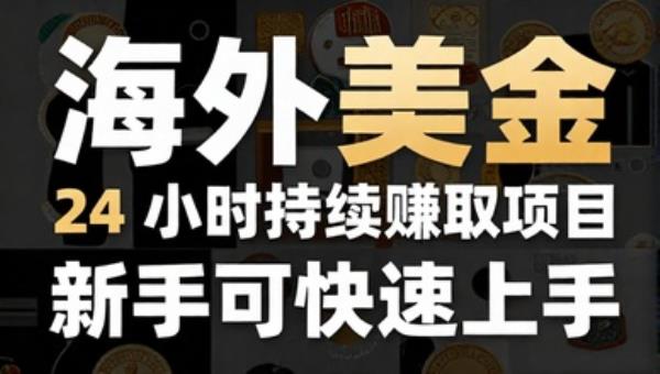 海外美金 24 小时持续赚取项目新手可快速上手