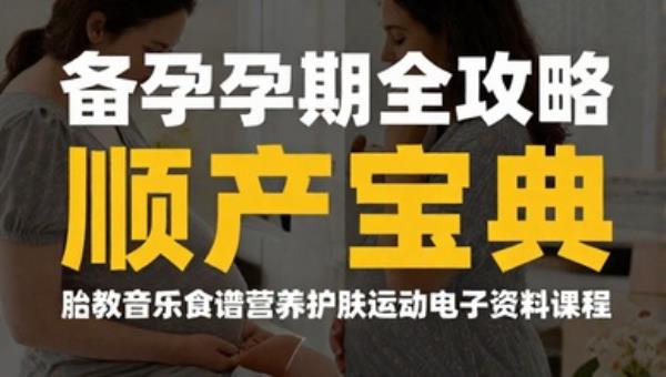 备孕孕期全攻略顺产宝典 胎教音乐食谱营养护肤运动电子资料课程