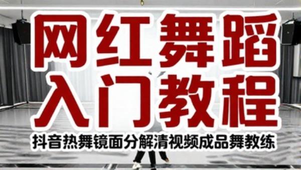 网红舞蹈零基础入门教程 抖音热舞镜面分解高清视频成品舞教学