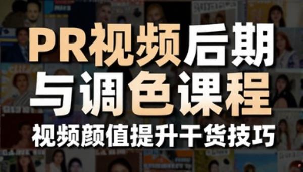 PR视频后期与调色课程 视频颜值提升干货技巧