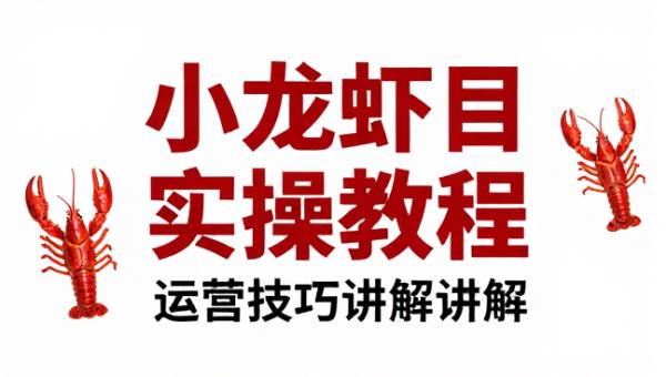 小龙虾相关项目实操教程与运营技巧讲解教学课程