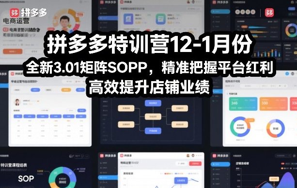 拼多多特训营12-1月份 全新3.01矩阵Sop 精准把握平台红利 高效提升店铺业绩-原创