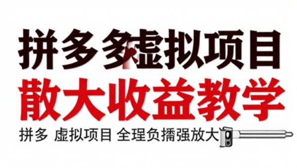 拼多多虚拟项目全流程实操矩阵放大收益教学