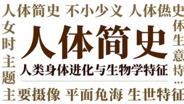 人体简史：人类身体进化与生物学特征