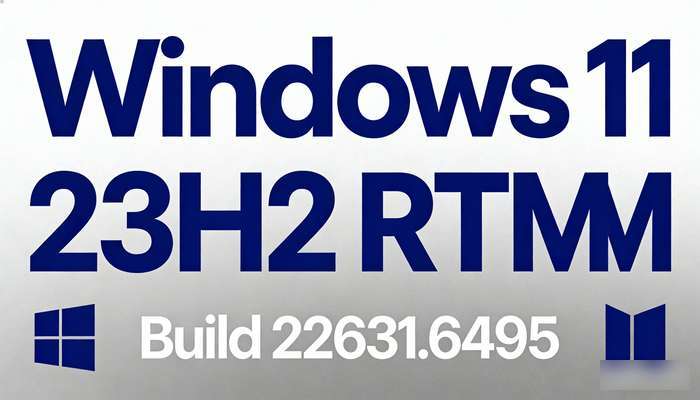 Windows1123H2Build22631.6495RTM