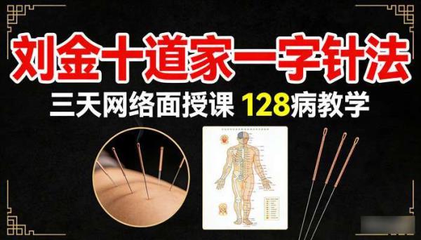 刘金十道家一字针法：三天网络面授课 128 病教学