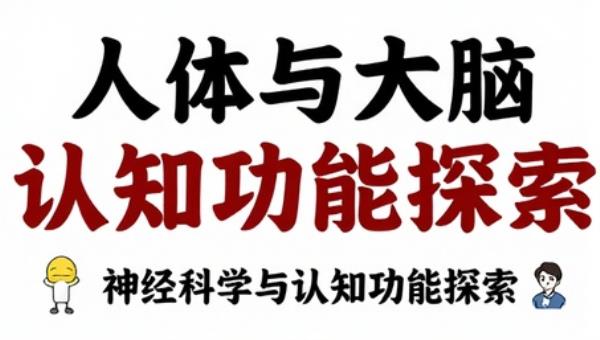 人体与大脑：神经科学与认知功能探索