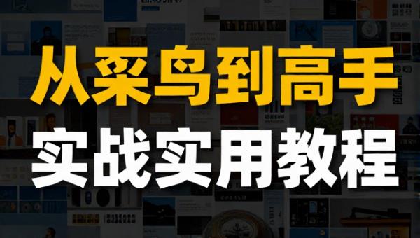 PPT从菜鸟到高手全方位实战实用教程