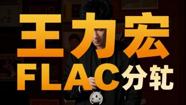 王力宏精选专辑FLAC分轨