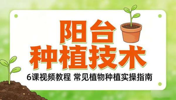 阳台种植技术 6 课视频教程 常见植物种植实操指南