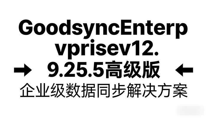 GoodsyncEnterprisev12.9.25.5高级版