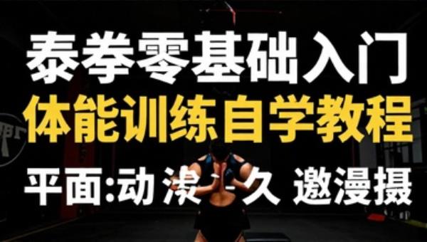 泰拳零基础入门体能训练自学教程