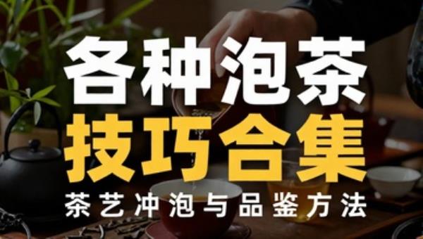 各种泡茶技巧合集：茶艺冲泡与品鉴方法