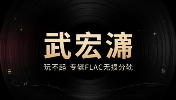 武宏澧玩不起专辑FLAC无损分轨