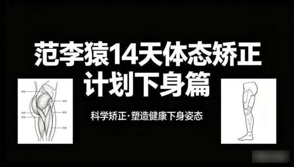 范李猿14天体态矫正计划下身篇