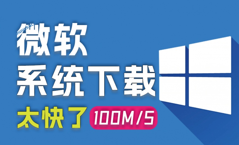 Windows纯原版系统下载！速度直达100MS，系统重装装机原版win系统，完全免费使用系统下载工具v2.0