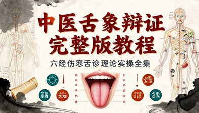 中医舌象辩证完整版教程六经伤寒舌诊理论实操全集