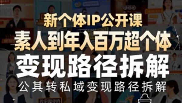 新个体IP公开课 素人到年入百万超级个体 公域转私域变现路径拆解
