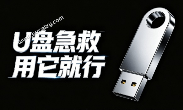 Windows专属U盘修复工具来了！一键文件救援和无损修复，完全免费用，打开即可运行U盘急救箱