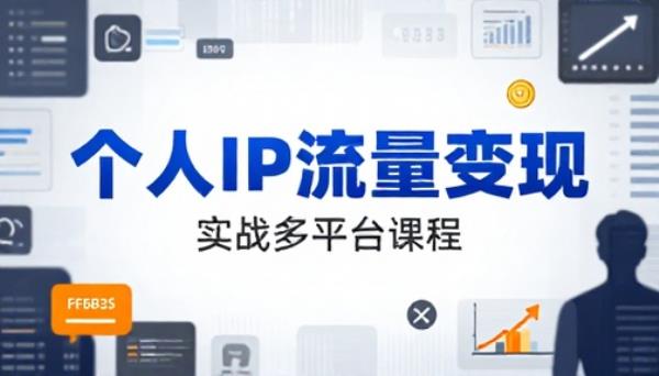 个人IP流量变现实战多平台课程