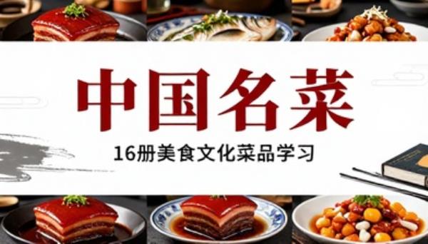 中国名菜 16 册美食文化菜品学习电子书籍