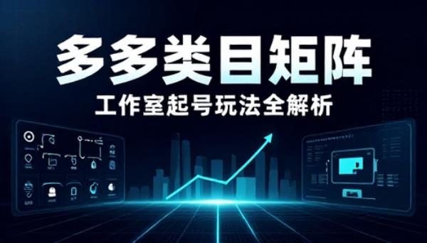 多多类目矩阵玩法工作室起号