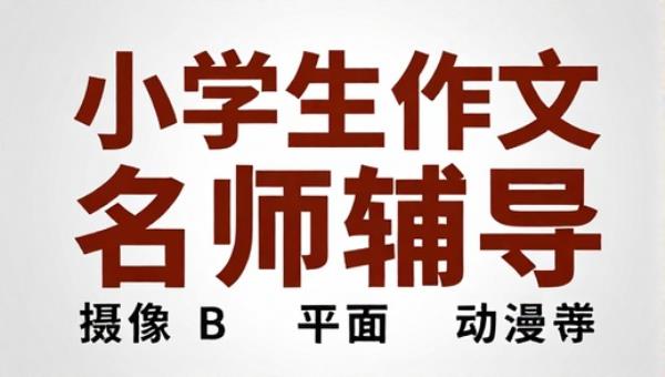 小学生作文专项名师辅导课程