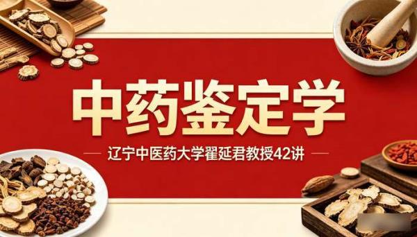 中药鉴定学辽宁中医药大学翟延君教授42讲