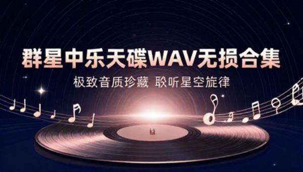 群星中乐天碟WAV无损合集
