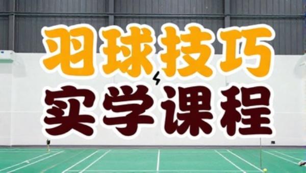 羽毛球技巧教学视频实战课程