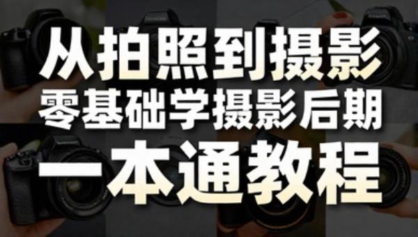 从拍照到摄影零基础学摄影后期一本通教程
