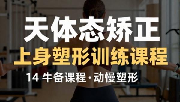 14 天体态矫正上身塑形训练课程