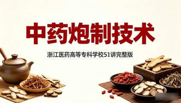 中药炮制技术浙江医药高等专科学校51讲完整版