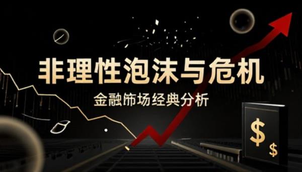 金融市场非理性泡沫与危机成因经济学经典分析书籍