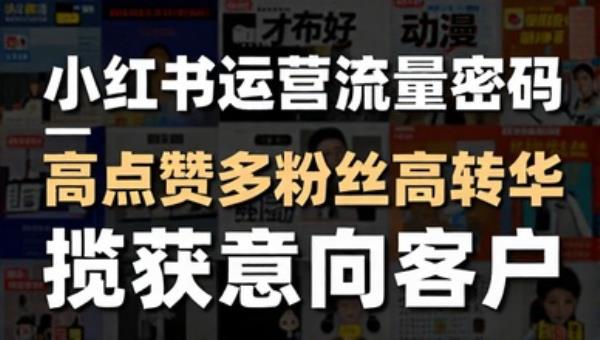 小红书运营流量密码 高点赞多粉丝高转化 揽获意向客户