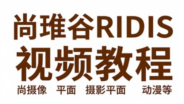 尚硅谷Redis视频教程