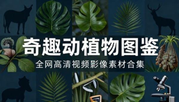 全网奇趣动植物科普影像高清视频图鉴素材大合集