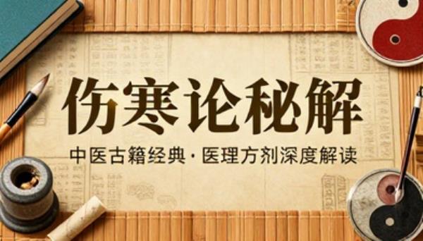 伤寒论中医古籍解读秘方医理传统中医经典文献参考电子书