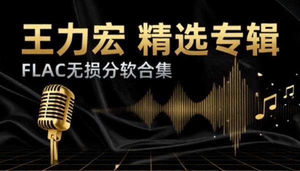 王力宏精选专辑FLAC无损分轨合集