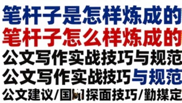 笔杆子是怎样炼成的：公文写作实战技巧与规范