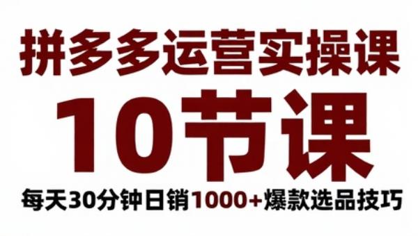 拼多多运营实操课（10节课） 每天30分钟日销1000＋爆款选品技巧
